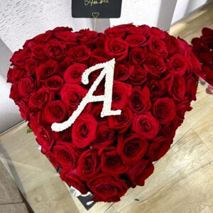 Corazón en 3D